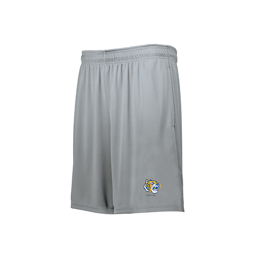 [229511.099.XS-LOGO2] Decker Men's Swift Short (Adult XS, Silver, Logo 2)